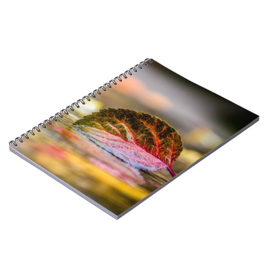 紅葉 ノートブック (左側)