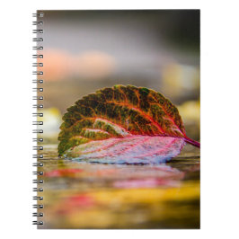 紅葉 ノートブック