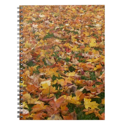 紅葉 ノートブック (正面)