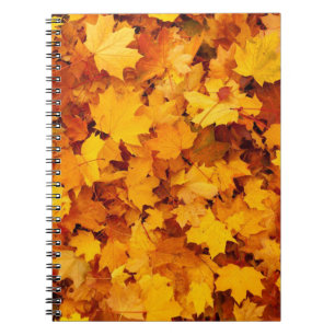 紅葉 ノートブック