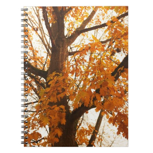 紅葉 ノートブック (正面)