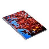 紅葉 ノートブック (右側)
