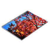 紅葉 ノートブック (左側)