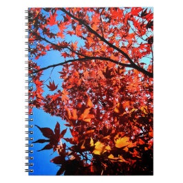 紅葉 ノートブック