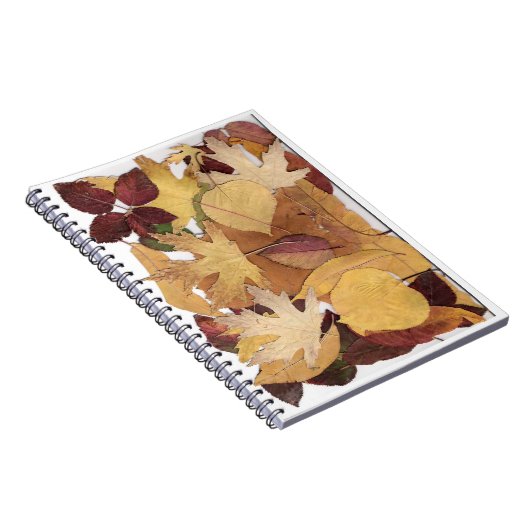 紅葉 ノートブック (右側)