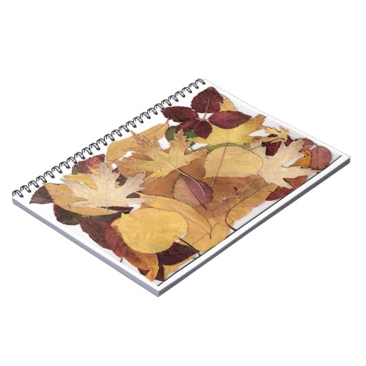 紅葉 ノートブック (左側)