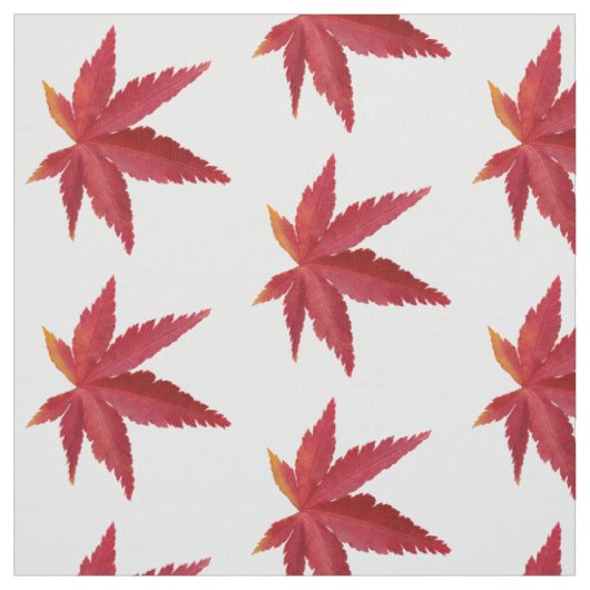 紅葉 ファブリック (見本)