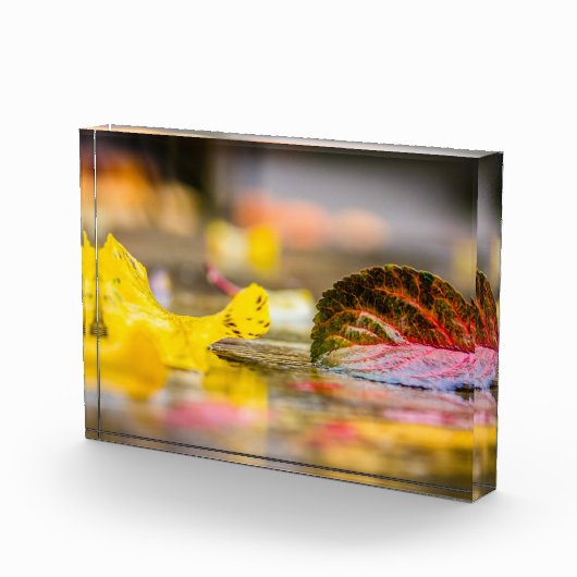 紅葉 フォトブロック (右)