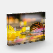 紅葉 フォトブロック (左)