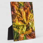 紅葉 フォトプラーク (側面)