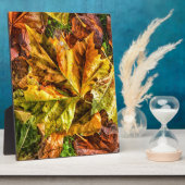 紅葉 フォトプラーク (側面)