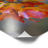 紅葉 フォトプリント            (角)