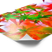 紅葉 フォトプリント            (角)