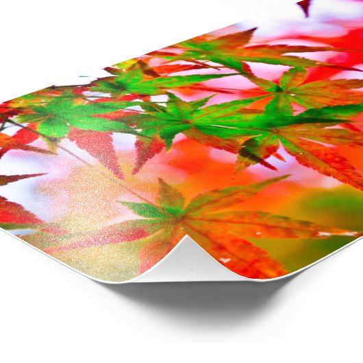 紅葉 フォトプリント            (角)