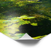 紅葉 フォトプリント            (角)