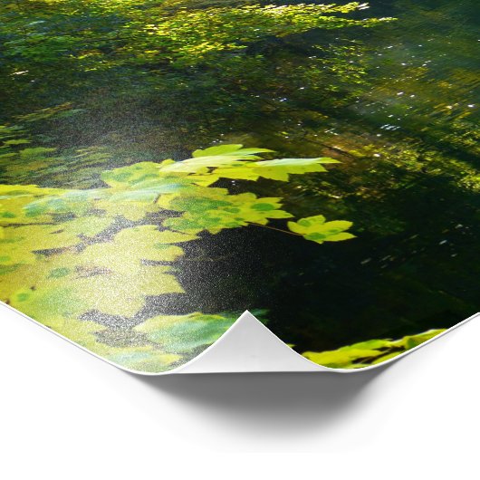 紅葉 フォトプリント            (角)