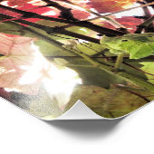 紅葉 フォトプリント            (角)