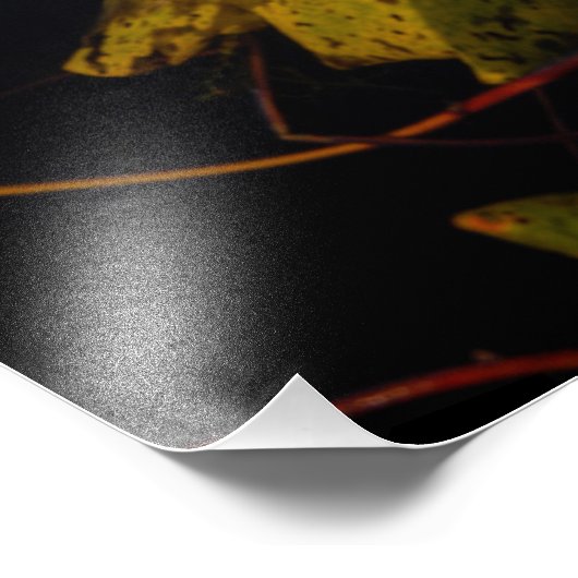 紅葉 フォトプリント            (角)