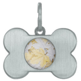 紅葉 ペットネームタグ