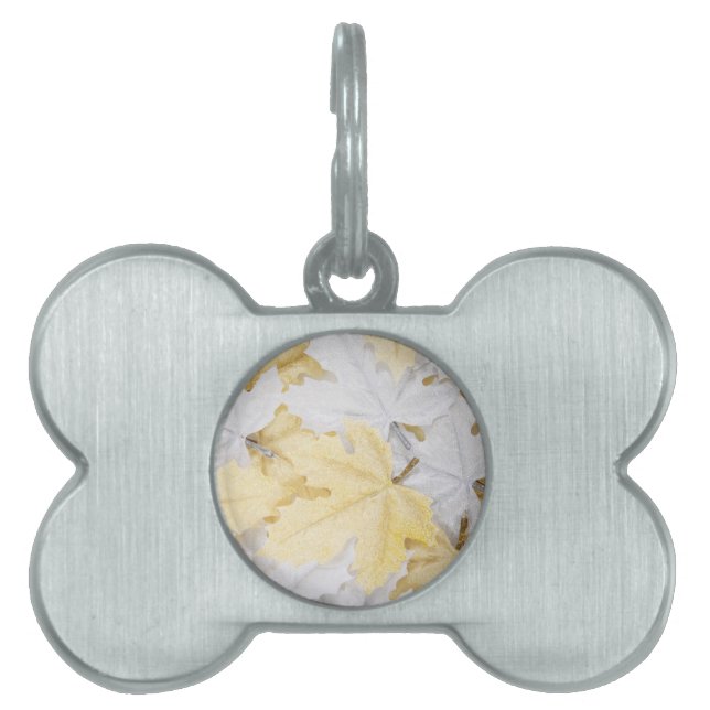 紅葉 ペットネームタグ (正面)