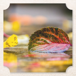 紅葉 ペーパーコースター