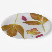 紅葉 ペーパープレート (アングル)