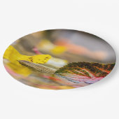 紅葉 ペーパープレート (アングル)