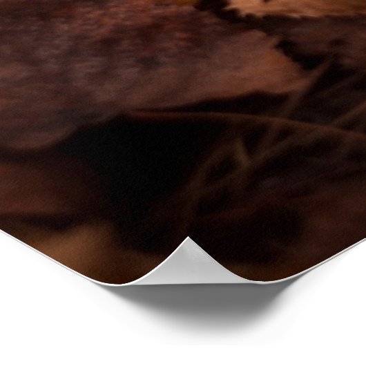 紅葉 ポスター (角)