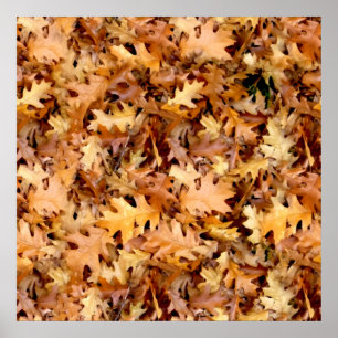 紅葉 ポスター