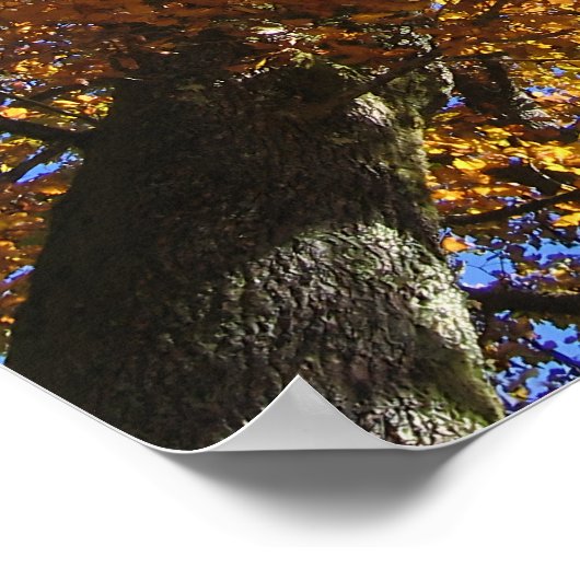 紅葉 ポスター (角)