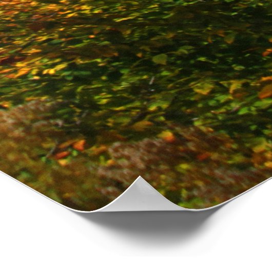 紅葉 ポスター (角)