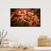 紅葉 ポスター (キッチン)