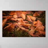 紅葉 ポスター (正面)