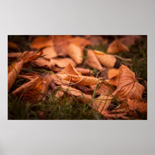 紅葉 ポスター (正面)