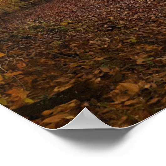 紅葉 ポスター (角)