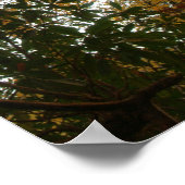 紅葉 ポスター (角)