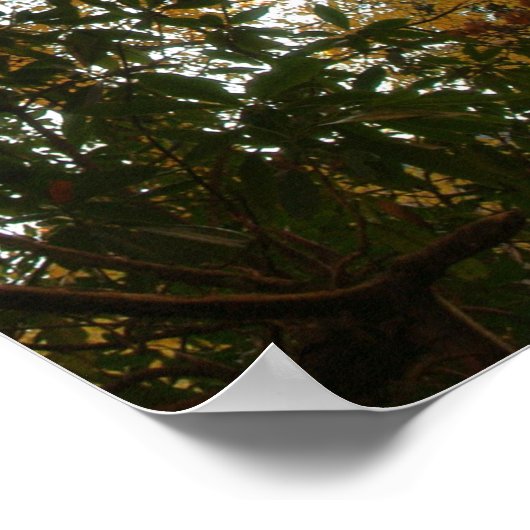 紅葉 ポスター (角)