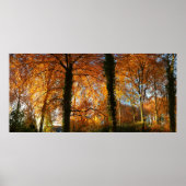 紅葉 ポスター (正面)