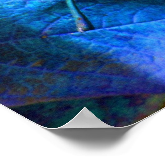 紅葉 ポスター (角)