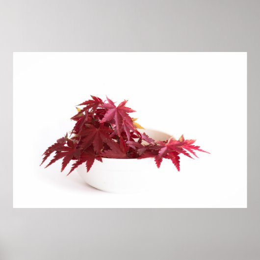 紅葉 ポスター (正面)