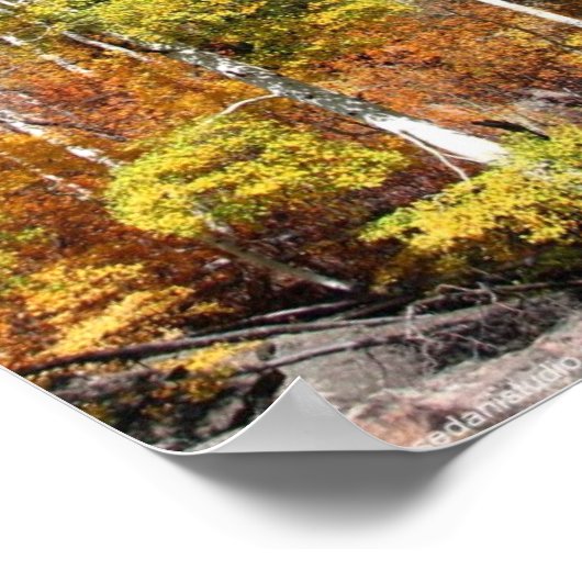 紅葉 ポスター (角)