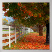 紅葉 ポスター (正面)