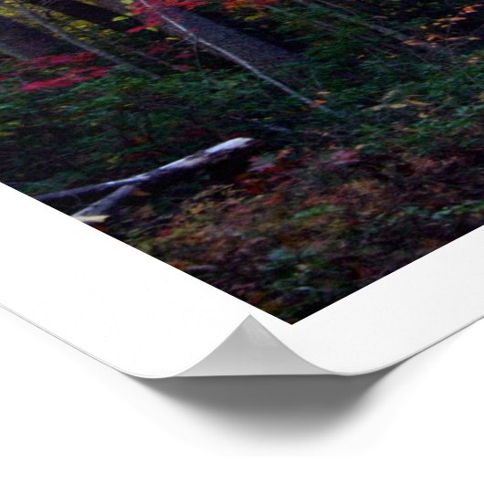 紅葉 ポスター (角)