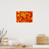 紅葉 ポスター (キッチン)