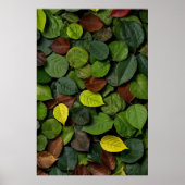 紅葉 ポスター (正面)