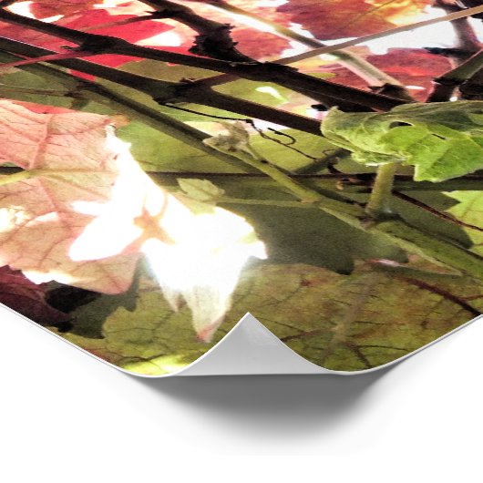 紅葉 ポスター (角)