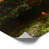 紅葉 ポスター (角)