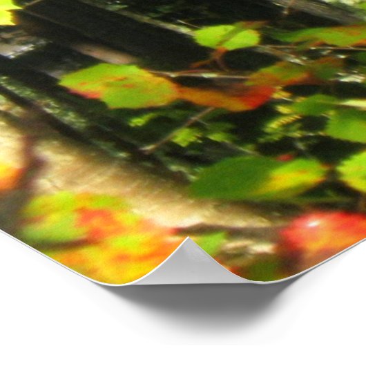 紅葉 ポスター (角)