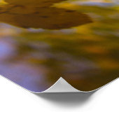 紅葉 ポスター (角)