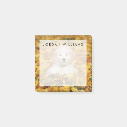 紅葉 ポストイット (正面)